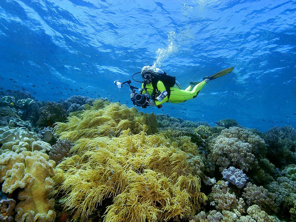 Diving the reefs at Wakatobi present underwater photographers a