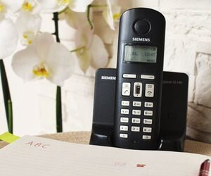 bantuan pesta makan malam