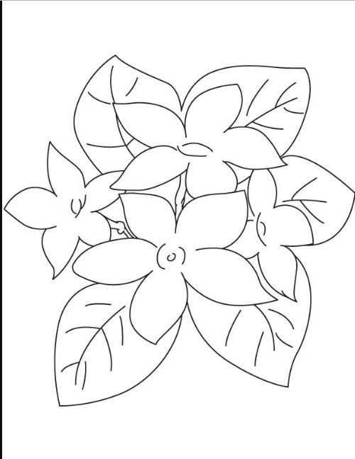 Sketsa Bunga yang Dapat Membantu Belajar Menggambar - Uprint.id