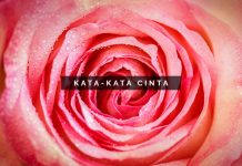 25 Ucapan Selamat Ulang Tahun Terindah untuk Teman Baikmu 