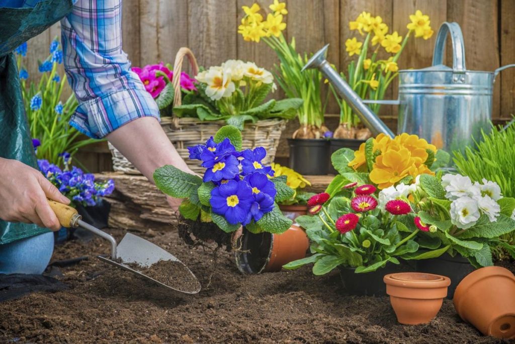 kegiatan seru di waktu luang - berkebun