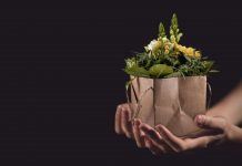 Inovasi Paper Bag yang Dapat Mempercantik Rangkaian Bunga flowers-paper-bag-bouquet-03