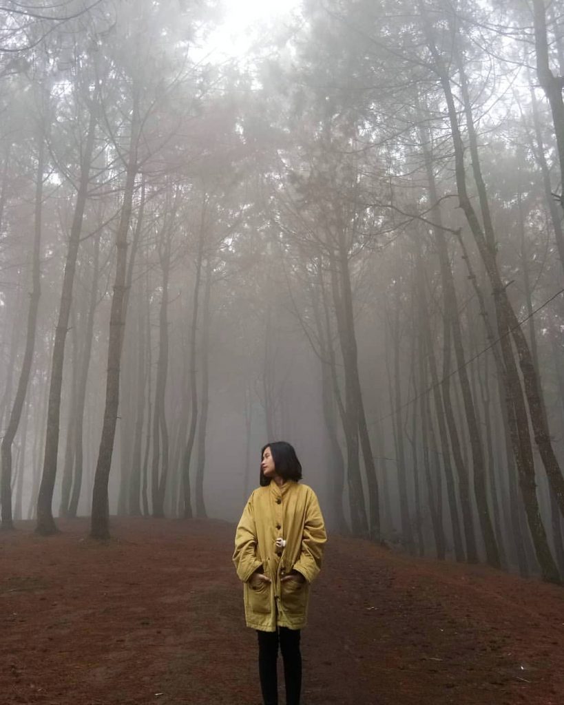 tempat-wisata-di-bandung-02-bukit-senyum