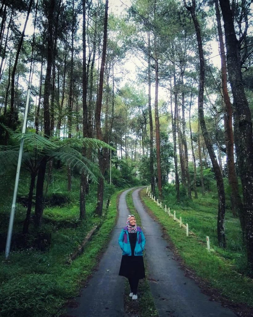 tempat-wisata-di-bandung-06-taman-hutan-kota