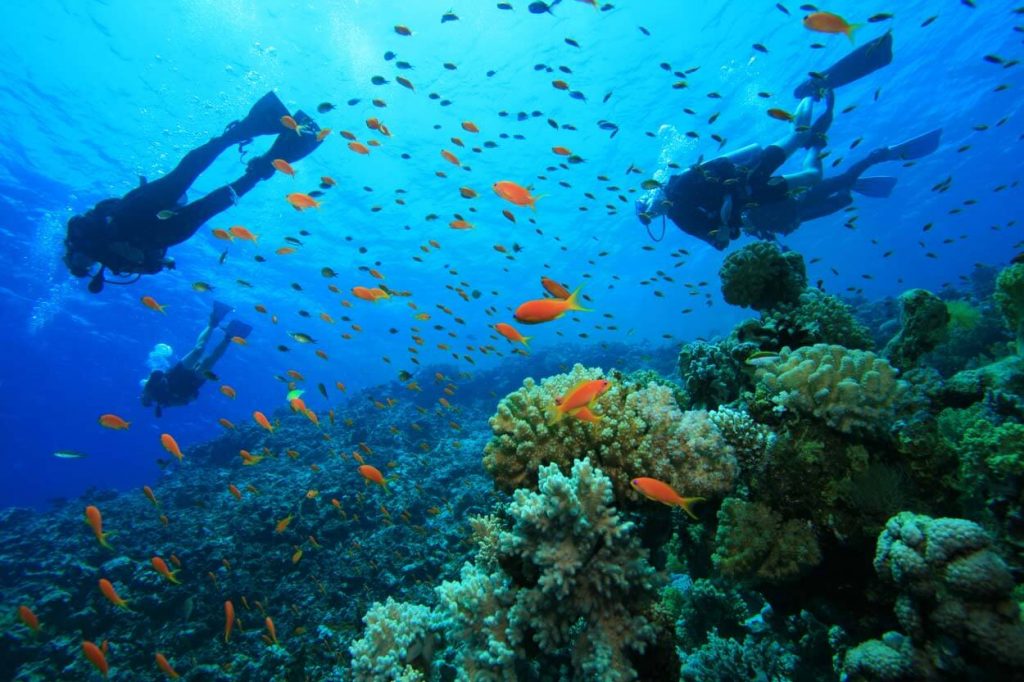 spot-diving-gili-air-lombok