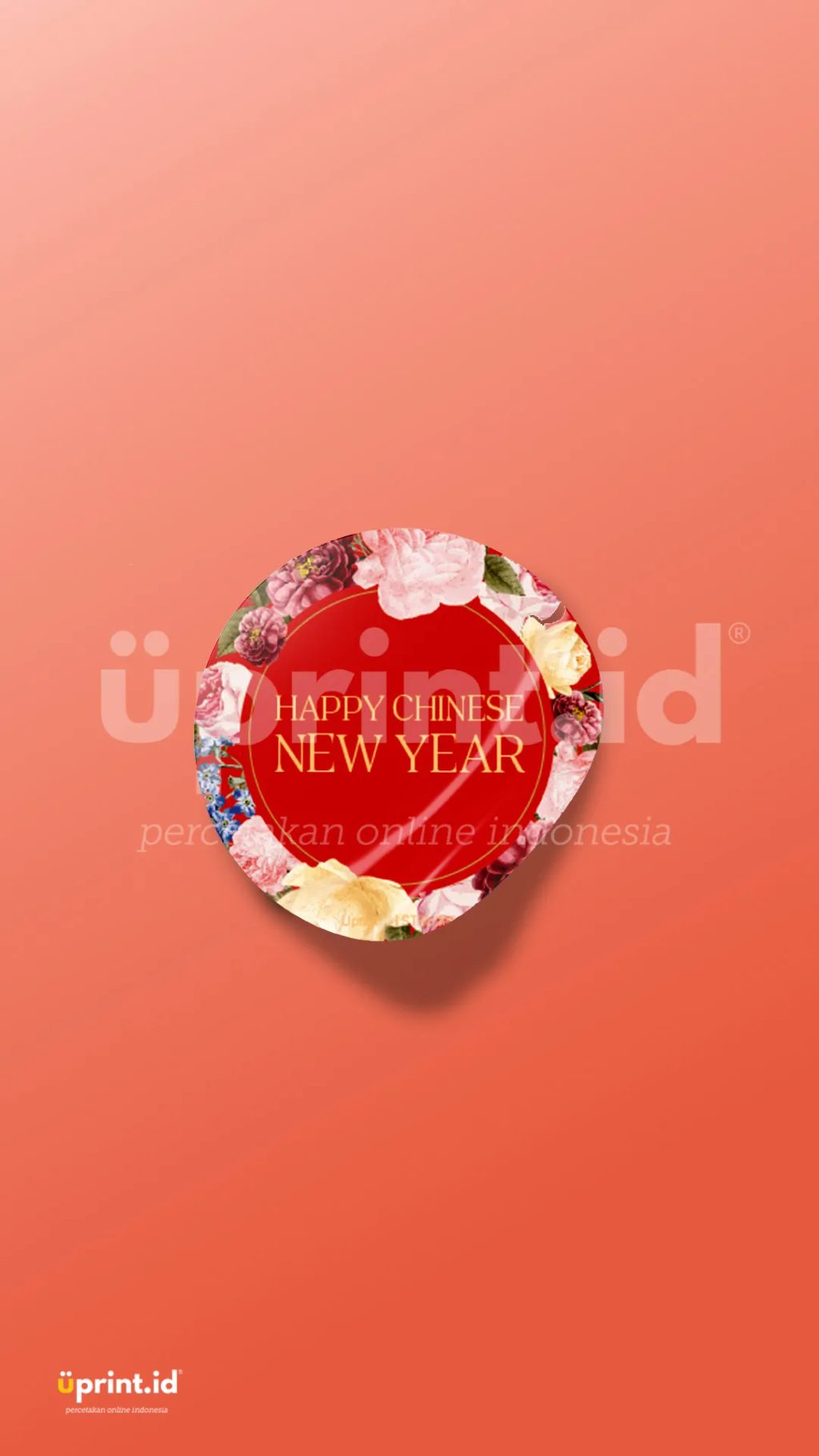 STBI-008 - Foto 1