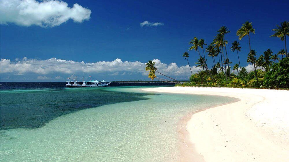Pantai pasir putih dengan air biru dan pohon kelapa tropis