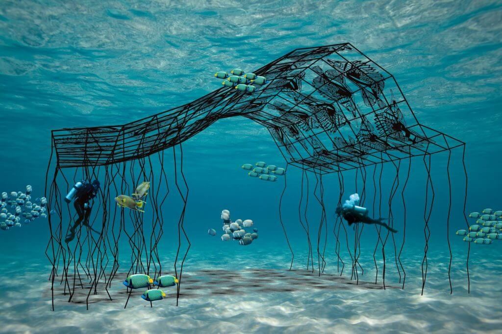 wakatobi underwater