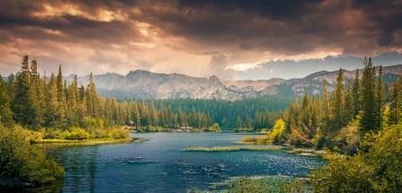 nature landscape