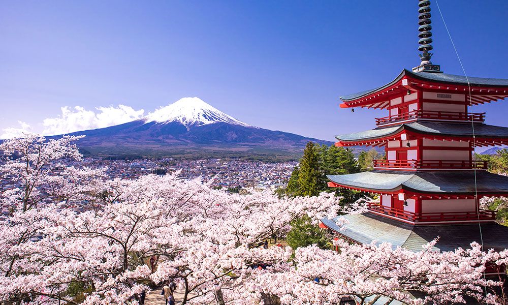Gunung Fuji berdiri megah di belakang pagoda merah di tengah kebun sakura.