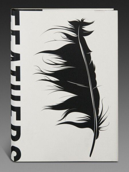 cover buku - feathers