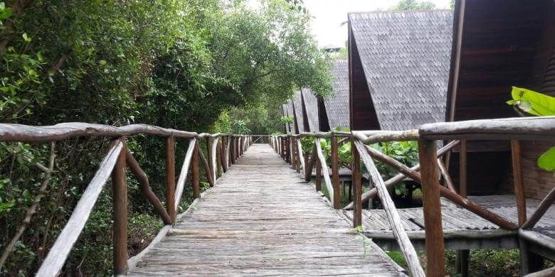 tempat wisata di jakarta mangrove angke