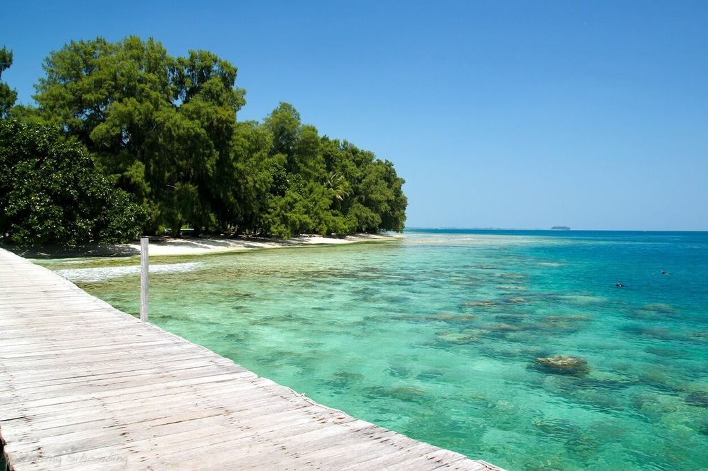 Pemandangan pantai dengan air jernih dan dock kayu