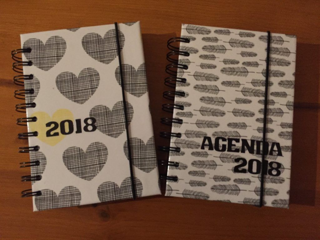 Dua buku agenda 2018 dengan desain unik: satu berhias hati dan satu berbentuk bulu.