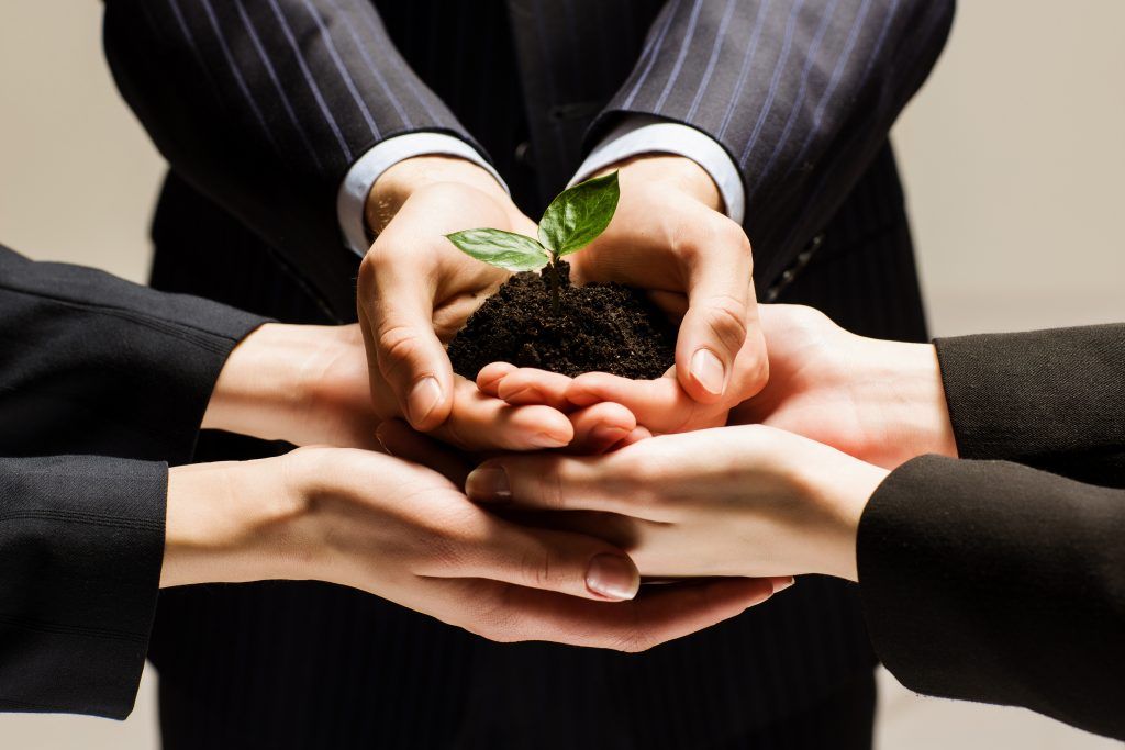 bisnis martabak - partnership
