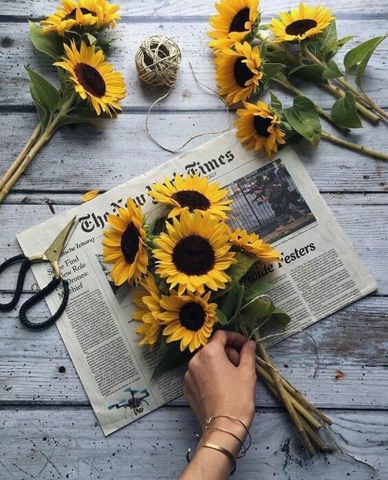 bunga-17-sunflower