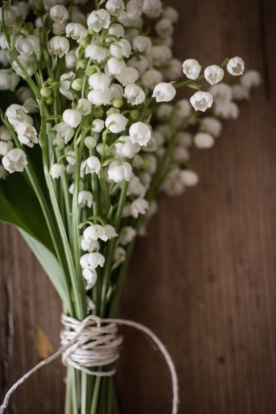 bunga-20-lily-of-the-valley