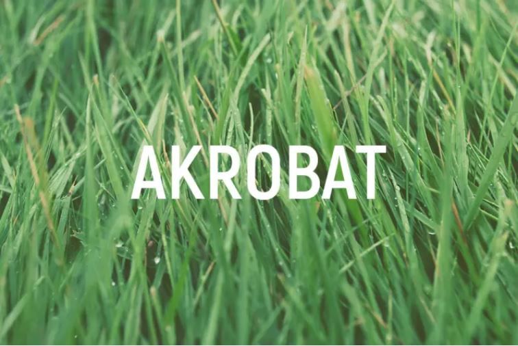 font keren 03 - akrobat