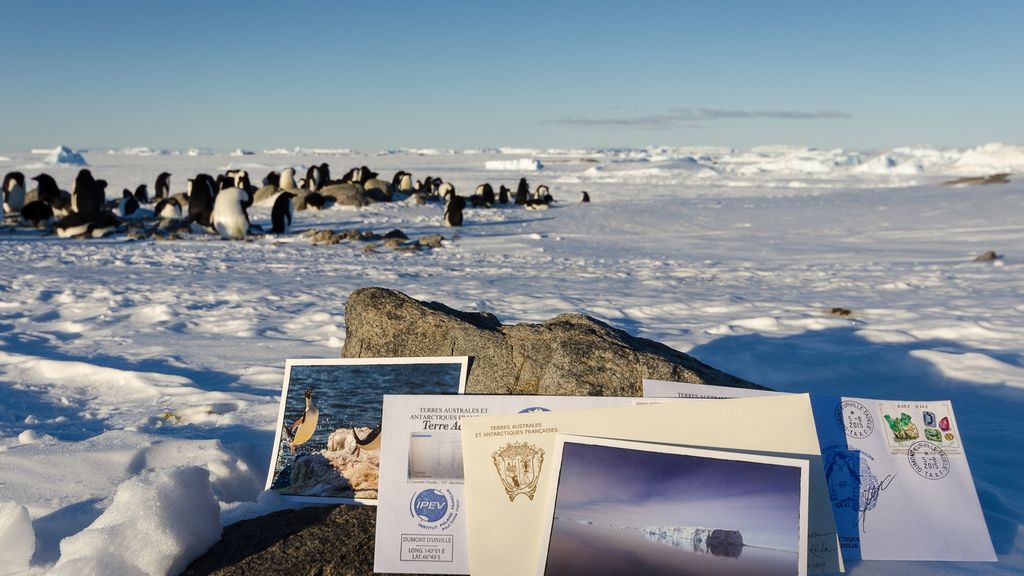 Penguin colony on snowy landscape with postcards and stamps in foreground.