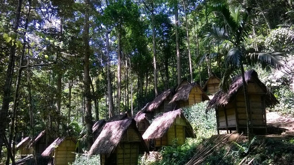 Barak adat tradisional dengan atap rumput di hutan hijau.