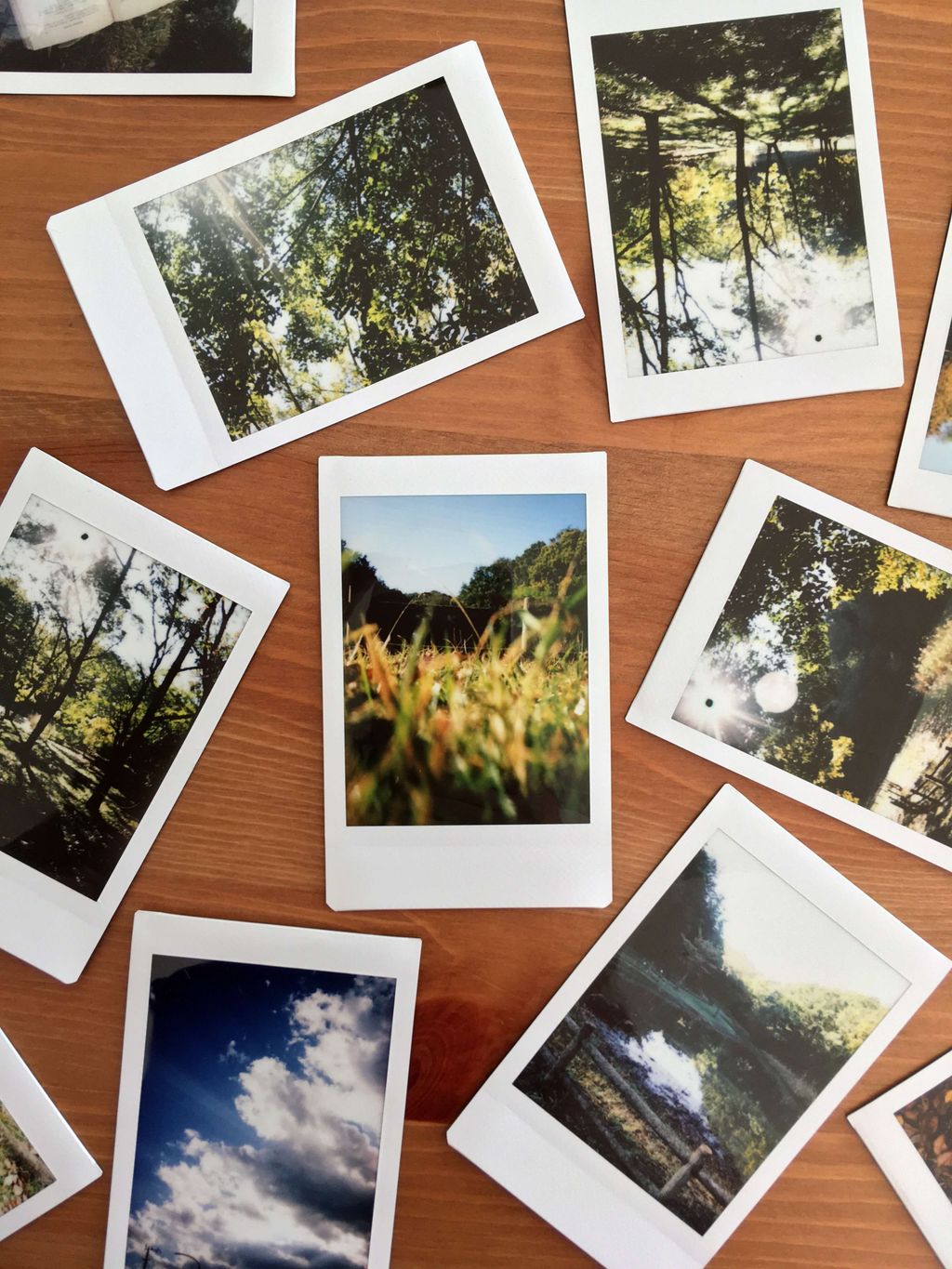 Serangkaian Polaroid menampilkan adegan alam dan langit.