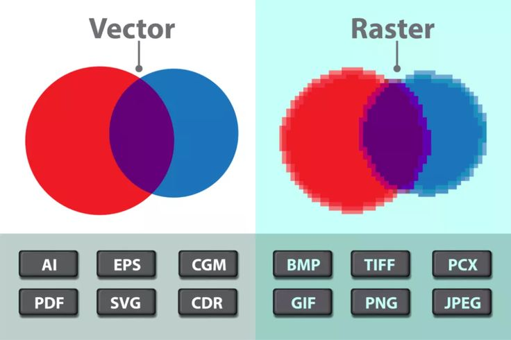 Diagram Venn yang membandingkan format file Vector dan Raster.