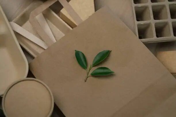 Kertas kraft dengan daun hijau segar di atasnya.
