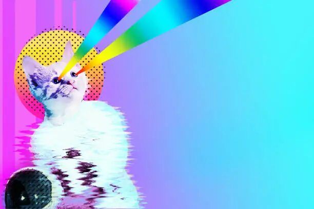 Kucing lucu dengan laser warna-warni di belakangnya