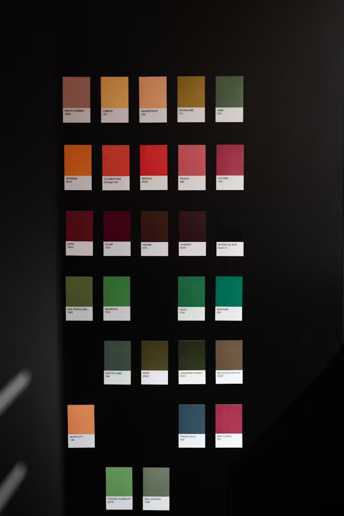 5 Palet Warna Untuk Brosur Promosi Yang Elegan