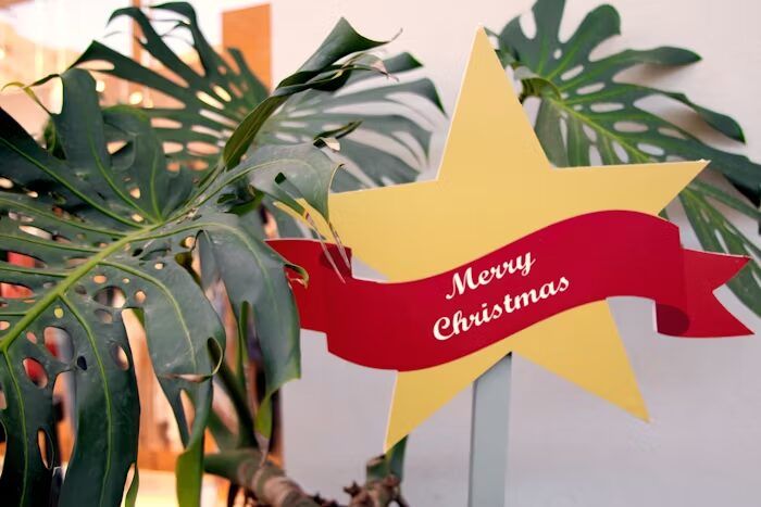 Bintang kuning besar dengan pita merah bertuliskan 'Merry Christmas' di depan daun monstera hijau.