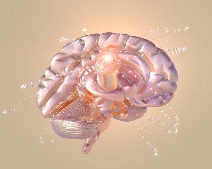 Langkah Praktis Menerapkan Vibrasi Pikiran Dalam 7 Hari