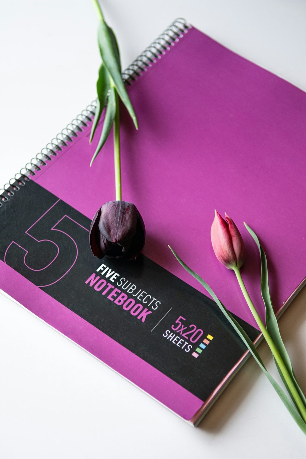 Notebook 5 subjects with tulips and purple cover