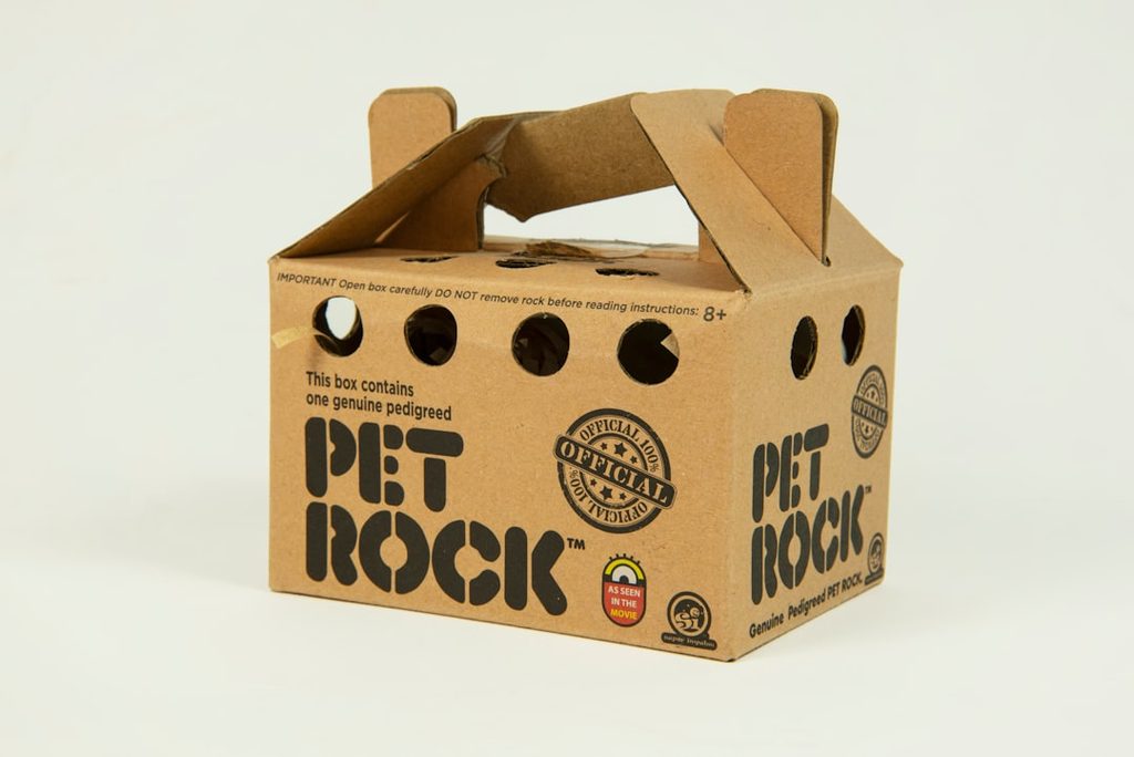 Kotak kemasan Pet Rock dari kertas berkelanjutan dengan desain unik