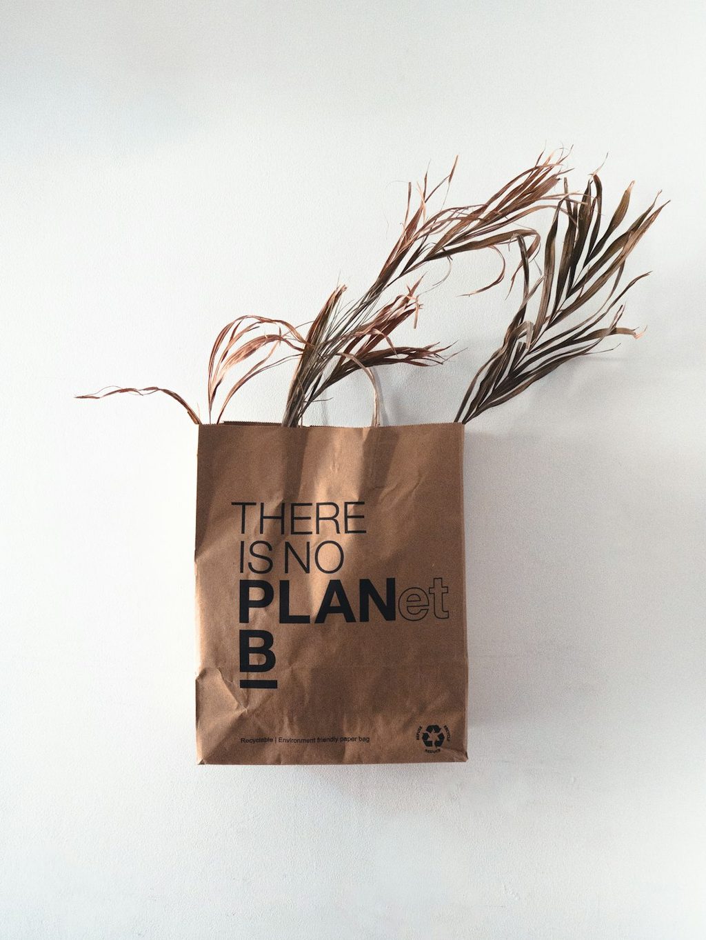 Kantong belanja berbahan ramah lingkungan dengan tulisan 'There is no Planet B'.