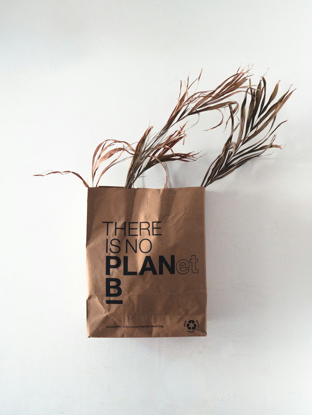 Kantong belanja berbahan ramah lingkungan dengan tulisan 'There is no Planet B'.