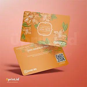 BRI-013 | BRI-013