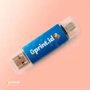 Flash Disk