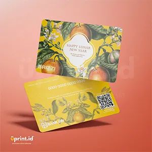 BRI-010 | BRI-010
