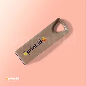 Flash Disk