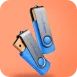 Flash Disk