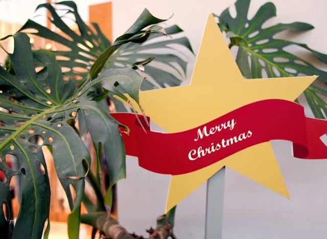Bintang kuning besar dengan pita merah bertuliskan 'Merry Christmas' di depan daun monstera hijau.