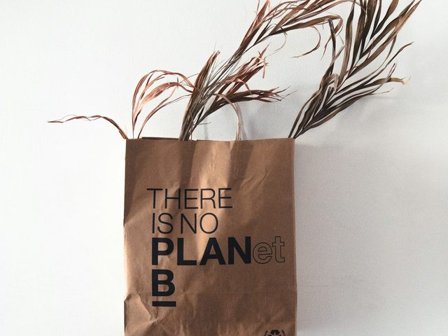 Kantong belanja berbahan ramah lingkungan dengan tulisan 'There is no Planet B'.